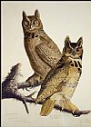 John James Audubon Famous Paintings - Great Horned Owl